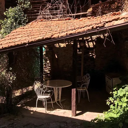 Mirasana *